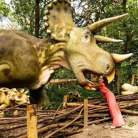 4-persoons Tiny * Voorthuizen