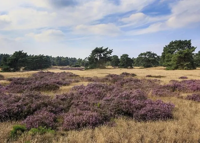4-persoons Tiny Chalé Voorthuizen