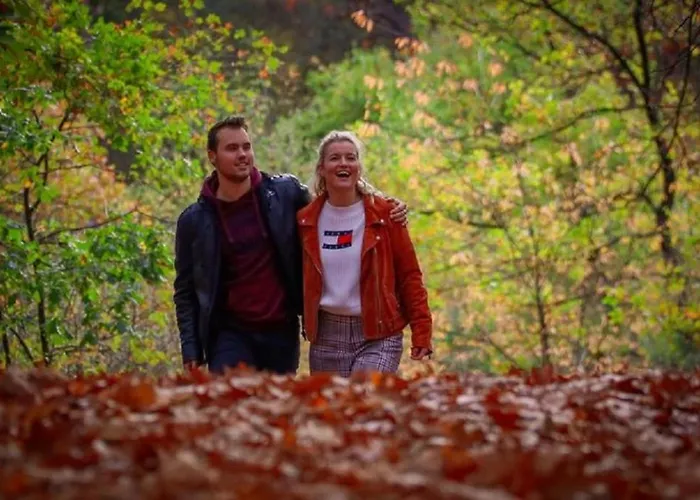 Chalé 4-persoons Tiny *