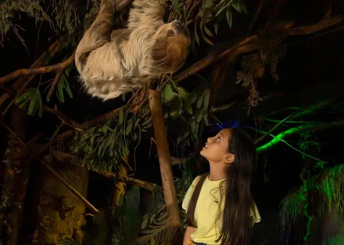 Chalé 4-persoons Tiny *