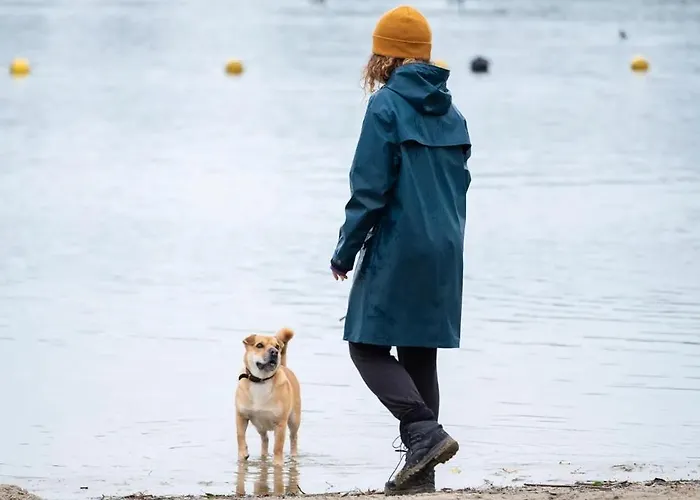 4-persoons Tiny Chalé